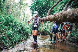 BIB: 
                            <button type="button" onclick="openModal(25374029)" class="btn btn-primary btn-sm float-right btn-popup" data-toggle="modal" data-target=".modal-high-quality">
                        <i class="fas fa-shopping-cart"></i> Add to Cart
                    </button>
                                            <button type="button" onclick="isThisMe(25374029, true)" class="btn btn-success btn-sm float-right btn-popup btn-isme hidden" data-toggle="tooltip" data-placement="bottom" title="นี่คือรูปของคุณใช่ไหม คลิกที่นี่เพื่อเอาเข้าอัลบั้ม">
                        <i class="fas fa-plus"></i> Add to album
                    </button>
                    <button type="button" onclick="isThisMe(25374029, false)" class="btn btn-warning btn-sm float-right btn-popup btn-isnotme hidden">
                        <i class="fas fa-ban"></i> Remove from album
                    </button>